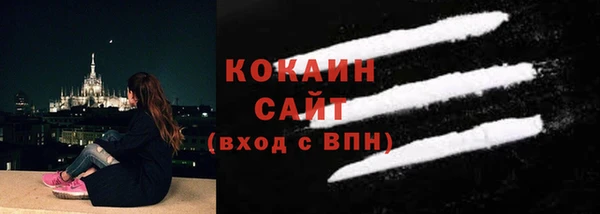 СК Алексин