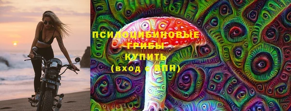 тгк Алзамай