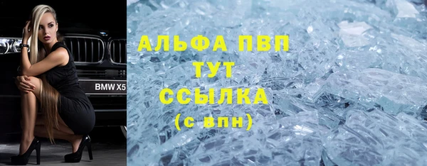 СК Алексин