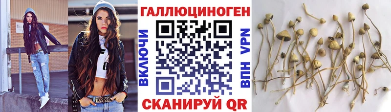 как найти   Ардон  Галлюциногенные грибы прущие грибы 
