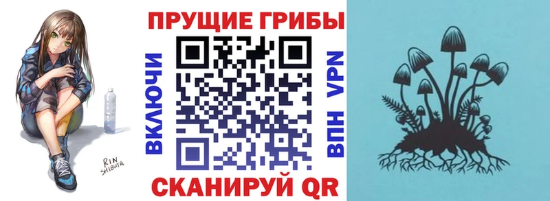 Галлюциногенные грибы Psilocybine cubensis Ардон